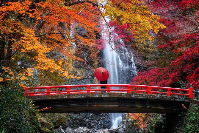 Osaka Private Customizable Half Day Tour - How your guide balances “must-sees” with your actual mood