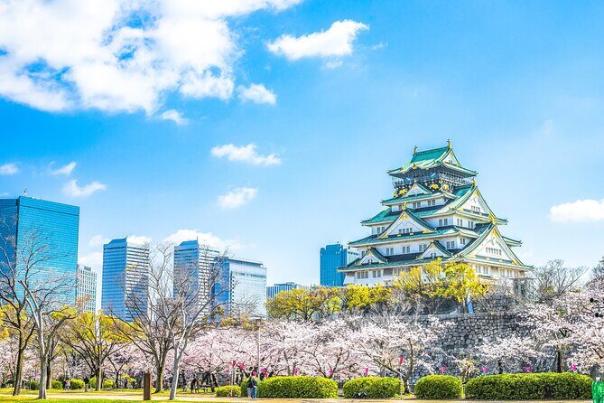Osaka Private Day Trip - Enjoy Your First-Time Visit to Osaka! - Key Highlights You’ll Actually Feel While Traveling