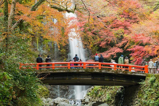Osaka Private Food Tours by Local Foodies: 100% Personalized - Why this Osaka food walk feels personal