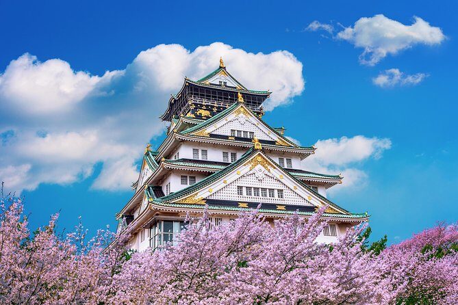 Osaka Private Food Tours by Local Foodies: 100% Personalized - Dotonbori neon bites: takoyaki and okonomiyaki