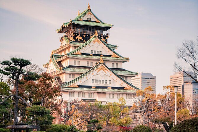 Osaka Private Hightlights Tour Customizable & English Driver - Key things to know before you book