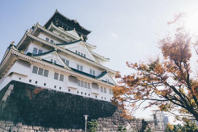 Osaka Private Pop Culture Tour: Historic Tenma to Dotonbori - Price and Value: What $243.73 Really Buys You
