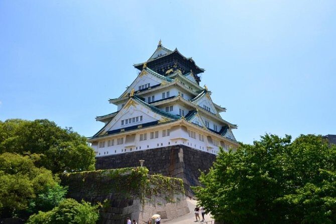 Osaka Private Tour by Public Transportation from Kyoto - Osaka Castle Tower Visit: The View Is the Point, So Don’t Rush It