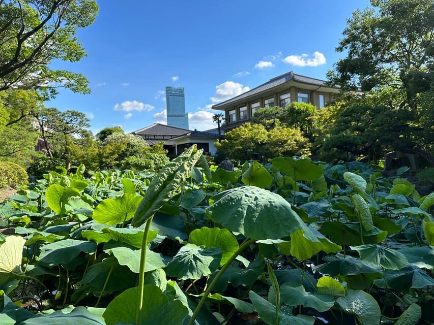 Osaka: Private Tour of Shitennoji, Osaka's Oldest Temple - Finish at 本坊庭園(極楽浄土の庭)