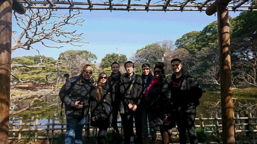 Osaka Private Tour with Government-Licensed Guide - Walking pace, public transit, and taxi mix: what to expect