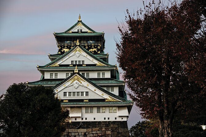 Osaka Private Walking Tour with a Local - Who this Osaka private walking tour is best for