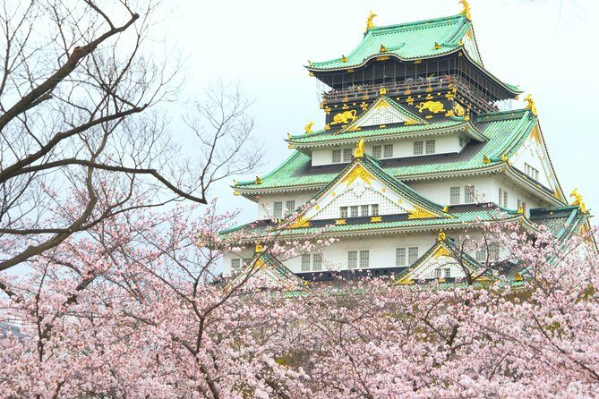 Osaka Private Walking Tour with a Local - The Osaka you’ll actually feel on foot: food, signage, and small surprises