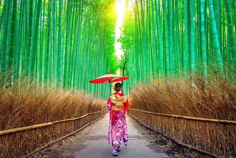 Osaka to Kyoto: Arashiyama Bamboo Grove Small Group Tour - Key highlights to help you plan your day