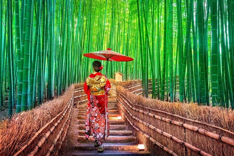 Osaka to Kyoto: Arashiyama Bamboo Grove Small Group Tour - Who should book this Kyoto day trip—and who should skip it