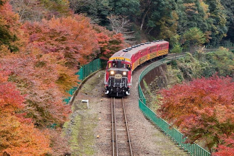 Osaka to Kyoto: Arashiyama Bamboo Grove Small Group Tour - Arashiyama bamboo grove: sun-dappled rays and a calmer pace
