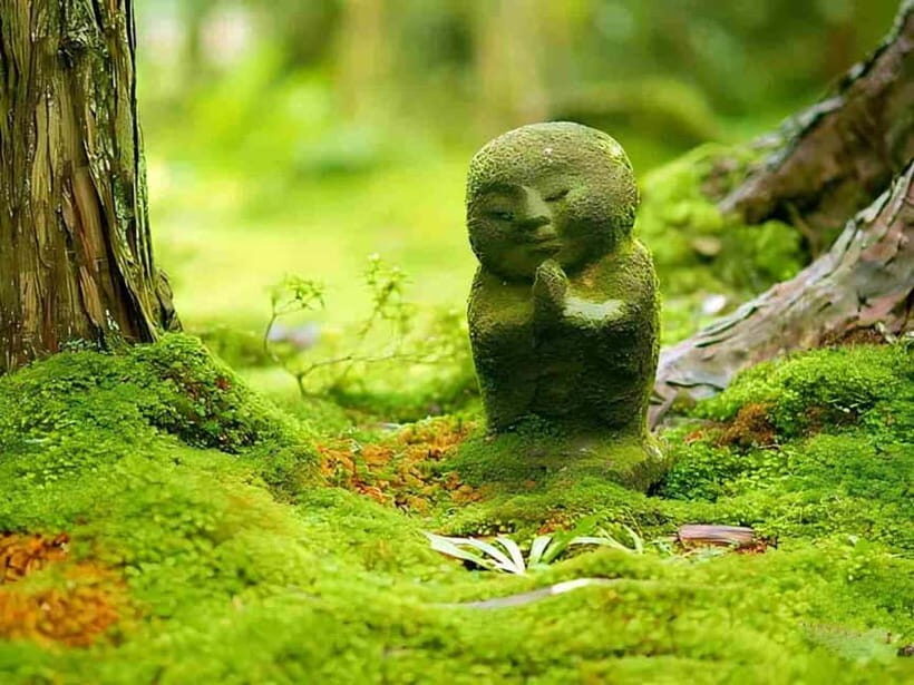 Osaka to Kyoto: Arashiyama Bamboo Grove Small Group Tour - The real cost of the $69: what you pay for vs. what you bring
