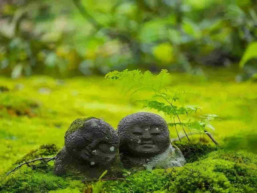 Osaka to Kyoto: Arashiyama Bamboo Grove Small Group Tour - The morning start: pickups, meeting points, and staying on time