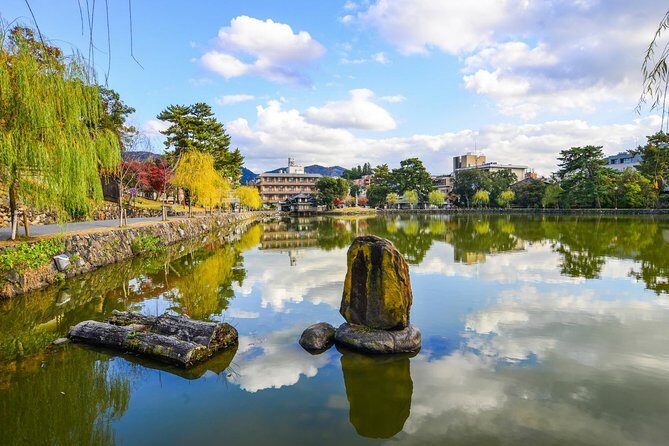 Osaka to Nara Day Trip with a Local – Private & Personalized - Price and value: what $384.40 per person buys you