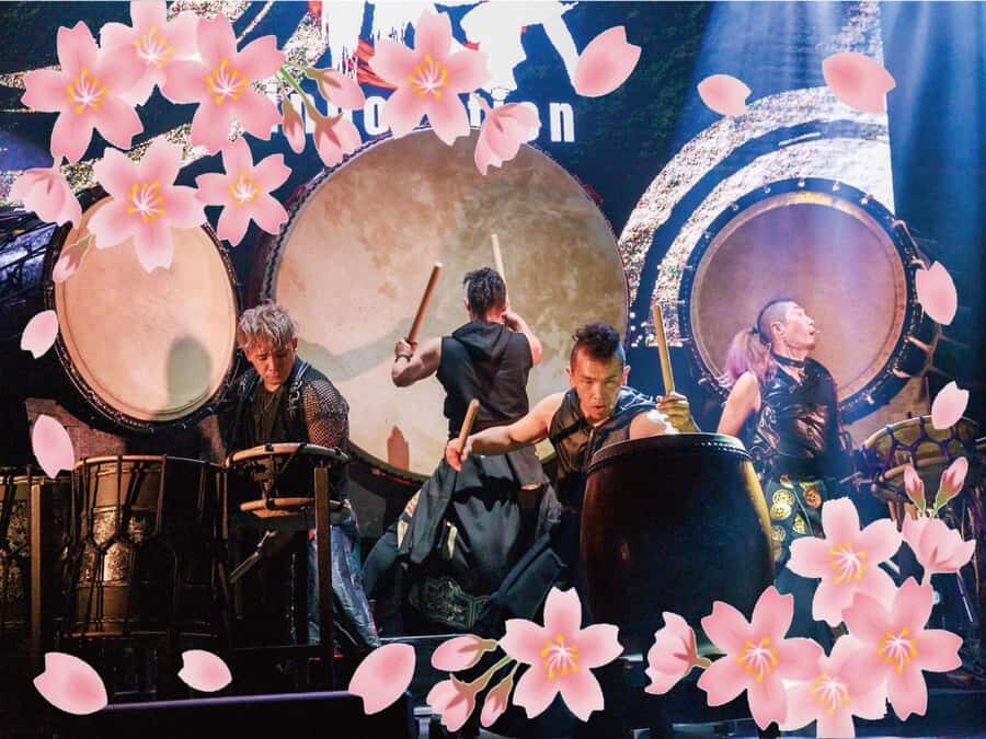 Osaka: UTAGE Japanese Taiko Live Show - The 180 cm drum: why size matters in a live performance