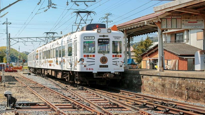 Osaka: Wakayama Cat Train, Seafood market, Hot Springs Tour - Key things to know before you go