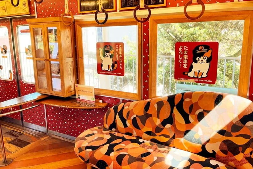 Osaka: Wakayama Cat Train, Seafood market, Hot Springs Tour - From Osaka’s Namba area to Wakayama: the bus part you’ll actually like