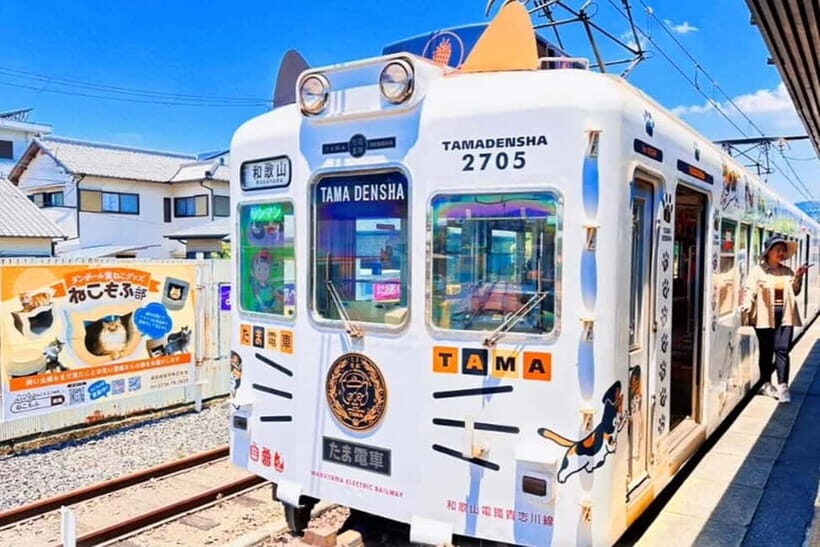 Osaka: Wakayama Cat Train, Seafood market, Hot Springs Tour - The cat train ride: cute, quick, and schedule-dependent