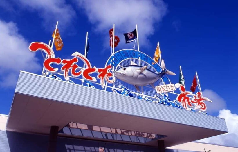Osaka: Wakayama Cat Train, Seafood market, Hot Springs Tour - Senjojiki rock plateau: the ocean view that rewards the stop
