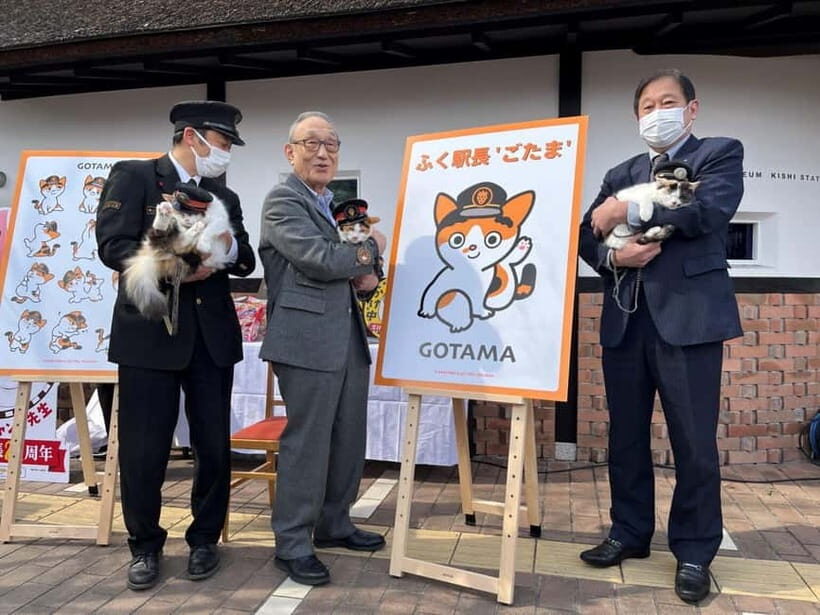 Osaka: Wakayama Cat Train, Seafood market, Hot Springs Tour - Kishi Station and Stationmaster Tama: the small story with big heart