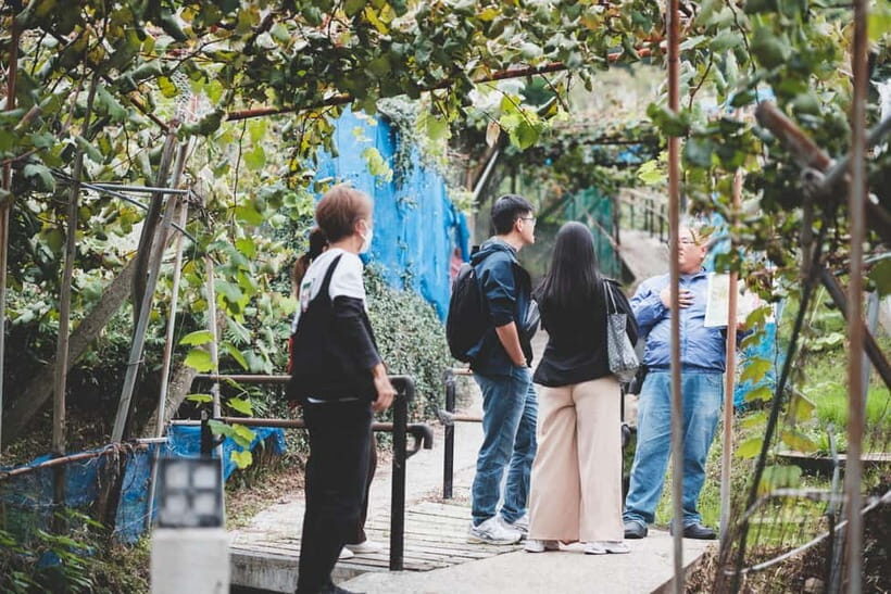 Osaka Winery Tour with Wine Tasting & Vineyard Walk - What the guide does (and why it affects your enjoyment)