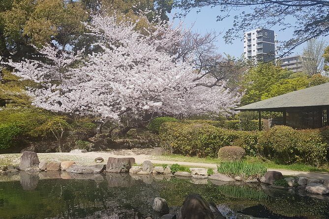 Osaka’s Best and Brightest: Private Full-Day Tour by Vehicle - Why the fluent guide-driver changes the whole experience