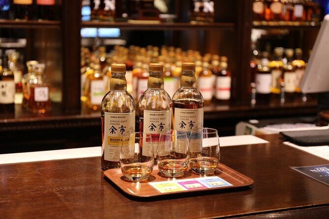 [Otaru & Yoichi] Let's go to Otaru Canal, Sakaimachi Street, Music Box Hall, and Yoichi Nikka Whiskey by private car (arriving and departing from Sapporo) - The driver experience: comfort, timing, and practical help