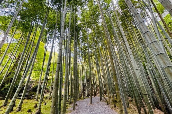 Pedal Adventure Kyoto E-Bike tour : True Kyoto Avoid the crowds - Why This True Kyoto E-Bike Tour Works When You Hate Crowds