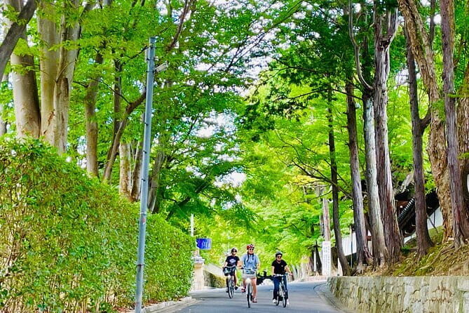 Pedal Adventure Kyoto's iconic landmarks on an e-bike tour - The Meeting Point, Bikes, and What’s Actually Included