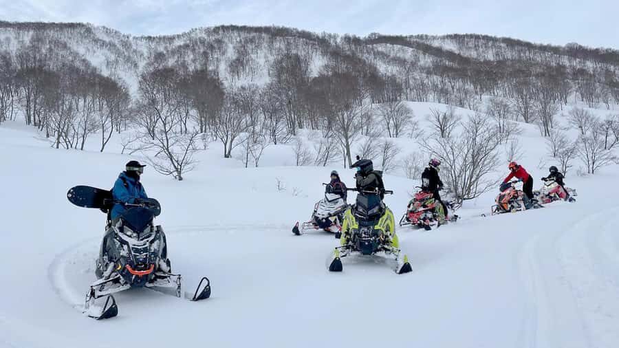 Penguin Fun & Snowmobile : Sapporo Winter (Asahiyama Zoo) - Who should book (and who should skip) this winter day