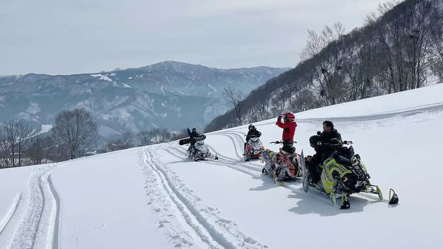 Penguin Fun & Snowmobile : Sapporo Winter (Asahiyama Zoo) - Should you book Penguin Fun & Snowmobile: Sapporo Winter (Asahiyama Zoo)?