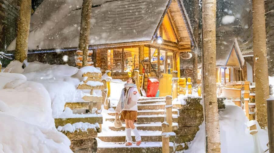 Penguin Fun & Snowmobile : Sapporo Winter (Asahiyama Zoo) - Ningle Terrace in Furano, plus the Takushinkan Museum Plan B