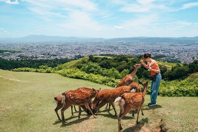 Perfect Nara Park Half-Day Bus Tour with English Speaking Guide - Todai-ji Temple: Nandaimon Gate and the Great Buddha Hall