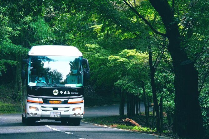 Perfect Nara Park Half-Day Bus Tour with English Speaking Guide - Price and Value: Is $66.05 Fair for This Mix?