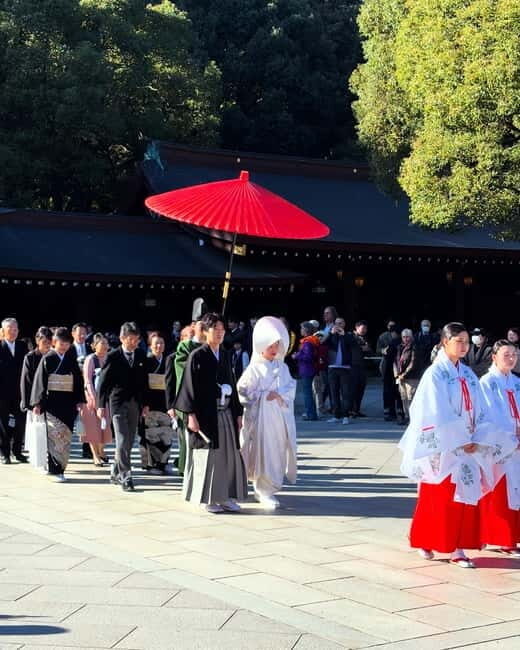 Perfect Start for your Japan Trip - Private Tour in Tokyo - From Takeshita Street to Cat Street: style, shopping, and photo moments