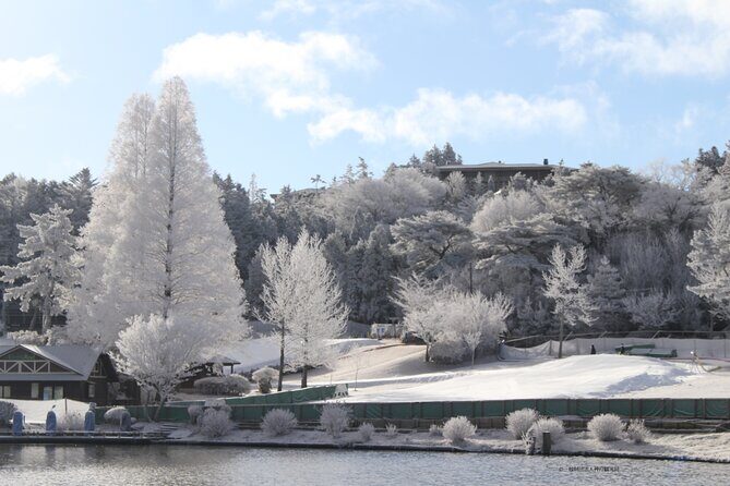 Play with Snow Crab Buffet Lunch and Strawberry Picking Bus Tour - Strawberry picking: a bright break from winter weather