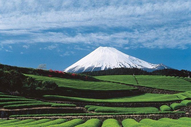 Port Pick-Up: Shizuoka Tour with Licensed Guide and Vehicle - Key highlights worth planning around