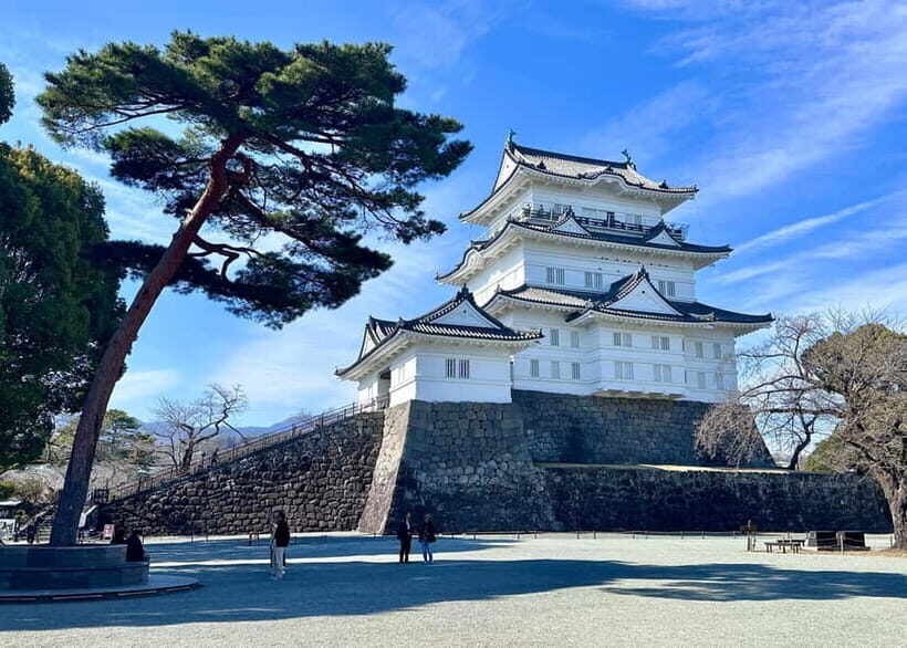 Private 2-Day Tour: Mt Fuji Hakone & Kamakura + Onsen Ryokan - Arakura Sengen Shrine: The Pagoda View Everyone Tries to Capture