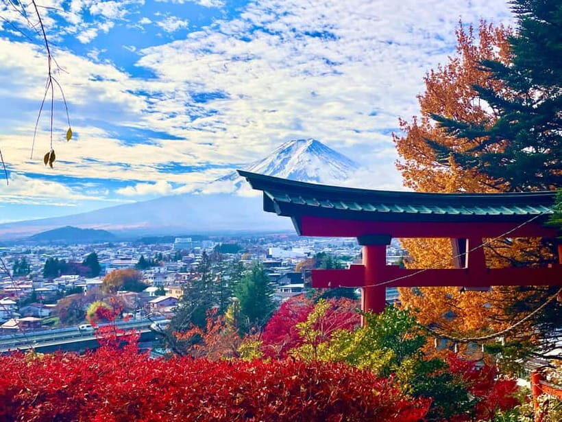 Private 2-Day Tour: Mt Fuji Hakone & Kamakura + Onsen Ryokan - Oishi Park on Lake Kawaguchi: Your Fuji Warm-Up Stop