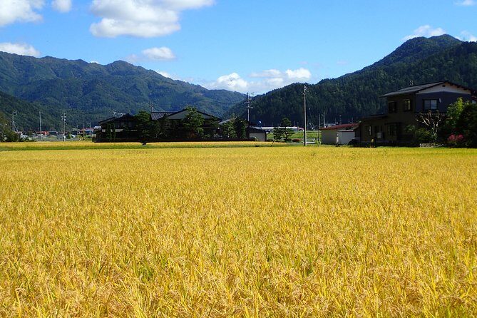 Private Afternoon Cycling Tour in Hida-Furukawa - The 2:00 pm start and how the ride flows along the 22 km route
