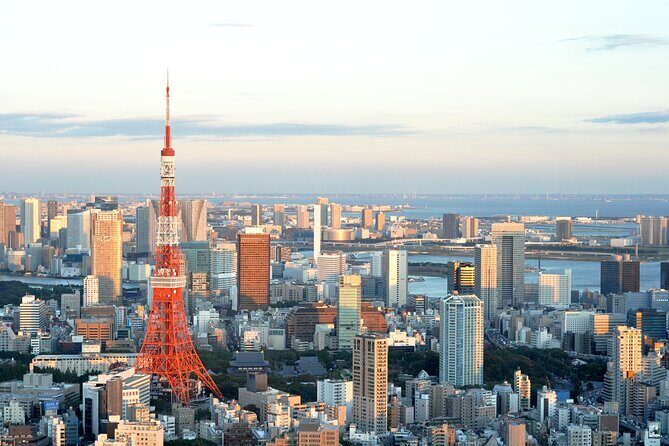 Private Airport transfer Haneda Airport(HND) to Tokyo City - Timing, delays, and waiting: the rules that keep you from surprises