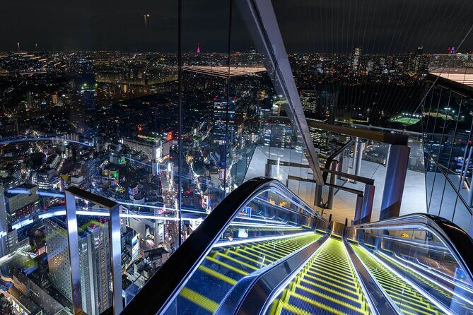 Private Airport transfer Haneda Airport(HND) to Tokyo City - Communication and language: what to do if English is limited