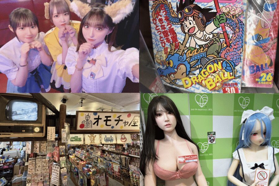 Private Akihabara Anime Game Maid Cafe Tour w/ free pickup - Akihabara With Purpose: What You’ll Be Doing