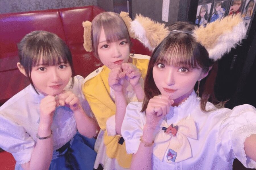 Private Akihabara Anime Game Maid Cafe Tour w/ free pickup - The Private Guide: How Your Interests Shape the Route