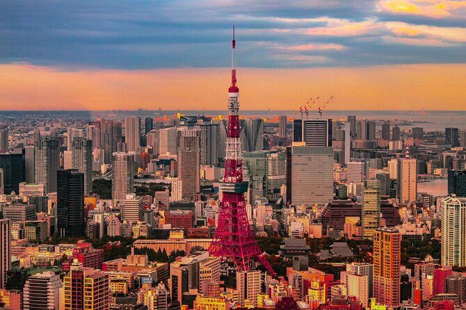 Private and Customisable Tokyo Tour with English Driver-guide - Key highlights worth planning around