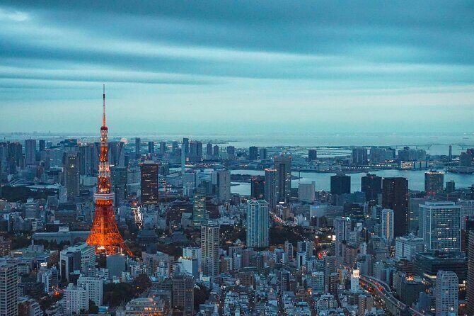 Private and Customisable Tokyo Tour with English Driver-guide - A private car day that beats the Tokyo transit maze
