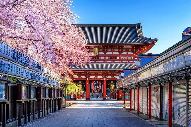 Private and Customisable Tokyo Tour with English Driver-guide - Odaiba and Tokyo Station: modern views plus rail-architecture wow