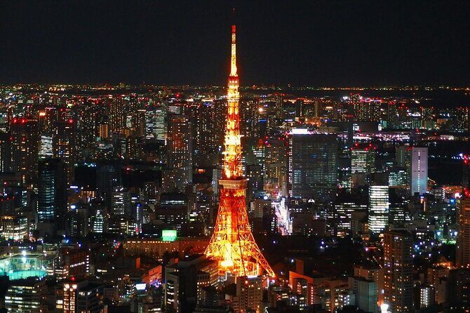 Private and Customisable Tokyo Tour with English Driver-guide - What $270 buys for a small group up to 3