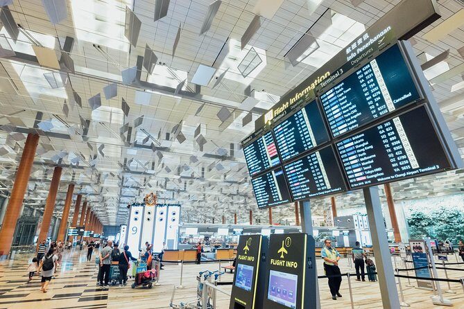 Private Arrival Transfer : Narita International Airport to Tokyo Disney - Finding Your Driver at Narita Without the Usual Panic