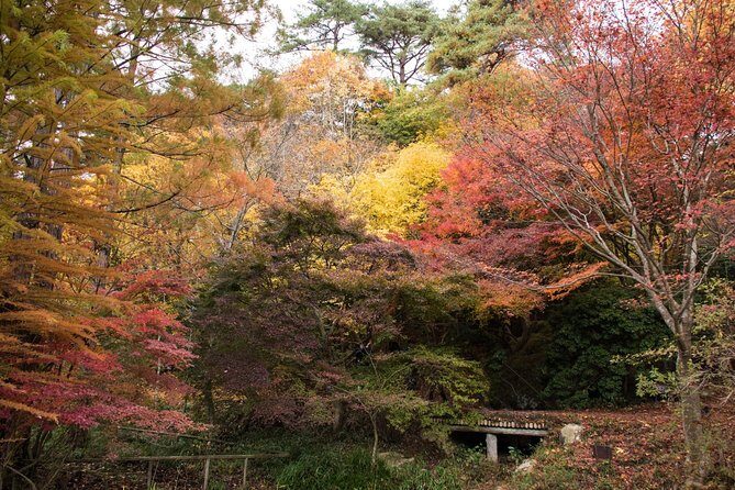 Private Car Day Trip to the Kobe Mountains, Gardens and Hot Springs from Osaka - Arima Onsen: how to get the most out of the 2-hour soak