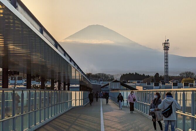 Private Car Mt Fuji and Gotemba Outlet in One Day from Tokyo - The Real Appeal: Fuji Views Plus Outlet Shopping Without the Slog